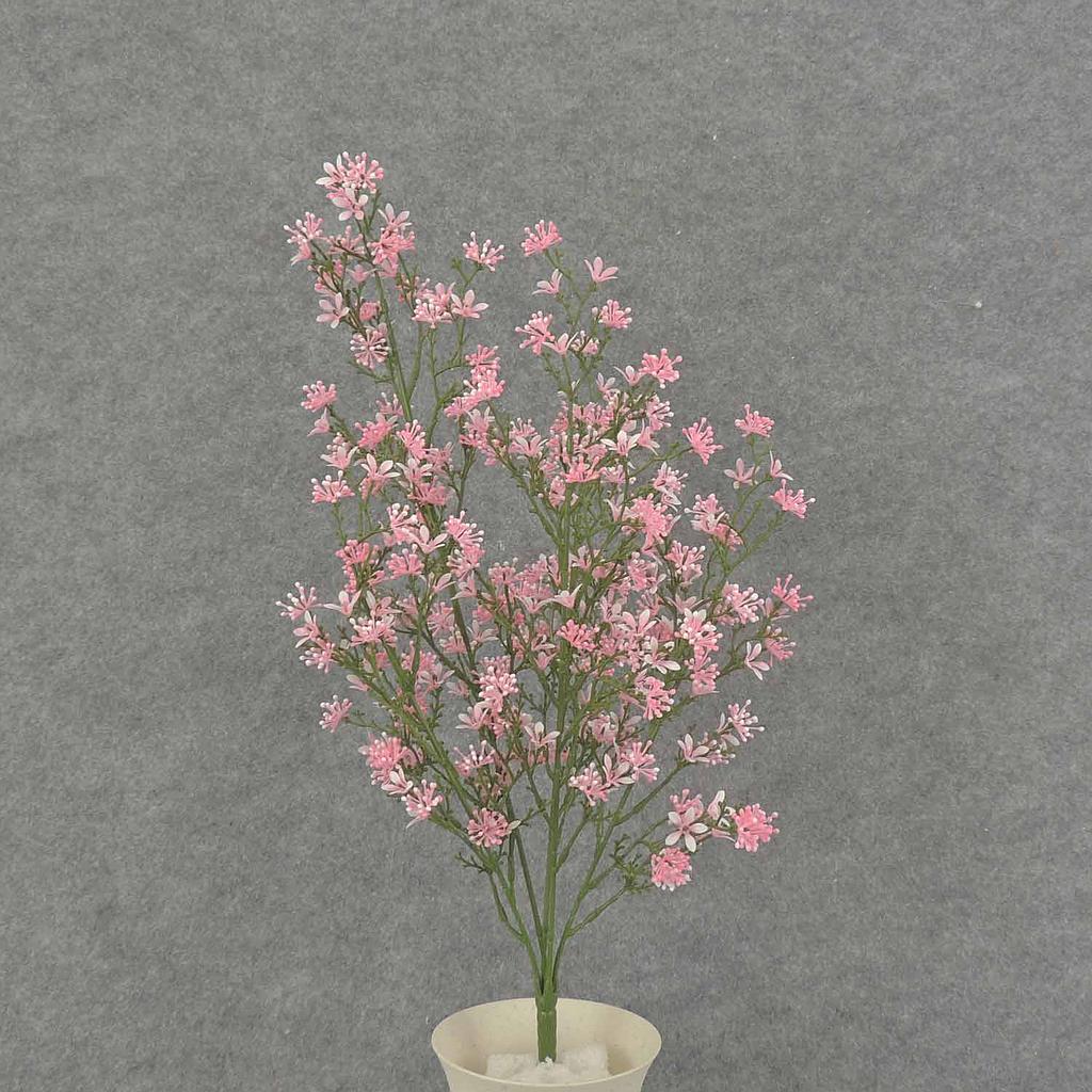 STARFLOWER BUSH 21" X5 PLASTIC  CREAM/PINK