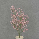 STARFLOWER BUSH 21" X5 PLASTIC  CREAM/PINK