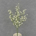 21" STARFLOWER BUSH X5 PLASTIC CREAM