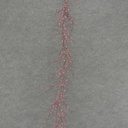 BERRY GARLAND 6' PLASTIC  O.D.  BEAUTY