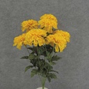 19" MARIGOLD BUSH X9 4" dia GOLDEN YELLOW