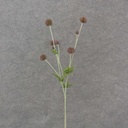 28" THISTLE SPRAY X3 PLASTIC