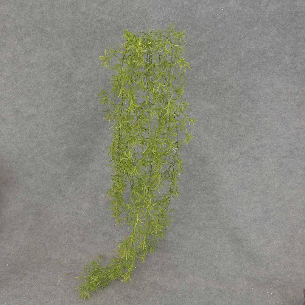 [SB7026] 56" PODOCARPUS HANGING BUSH X5