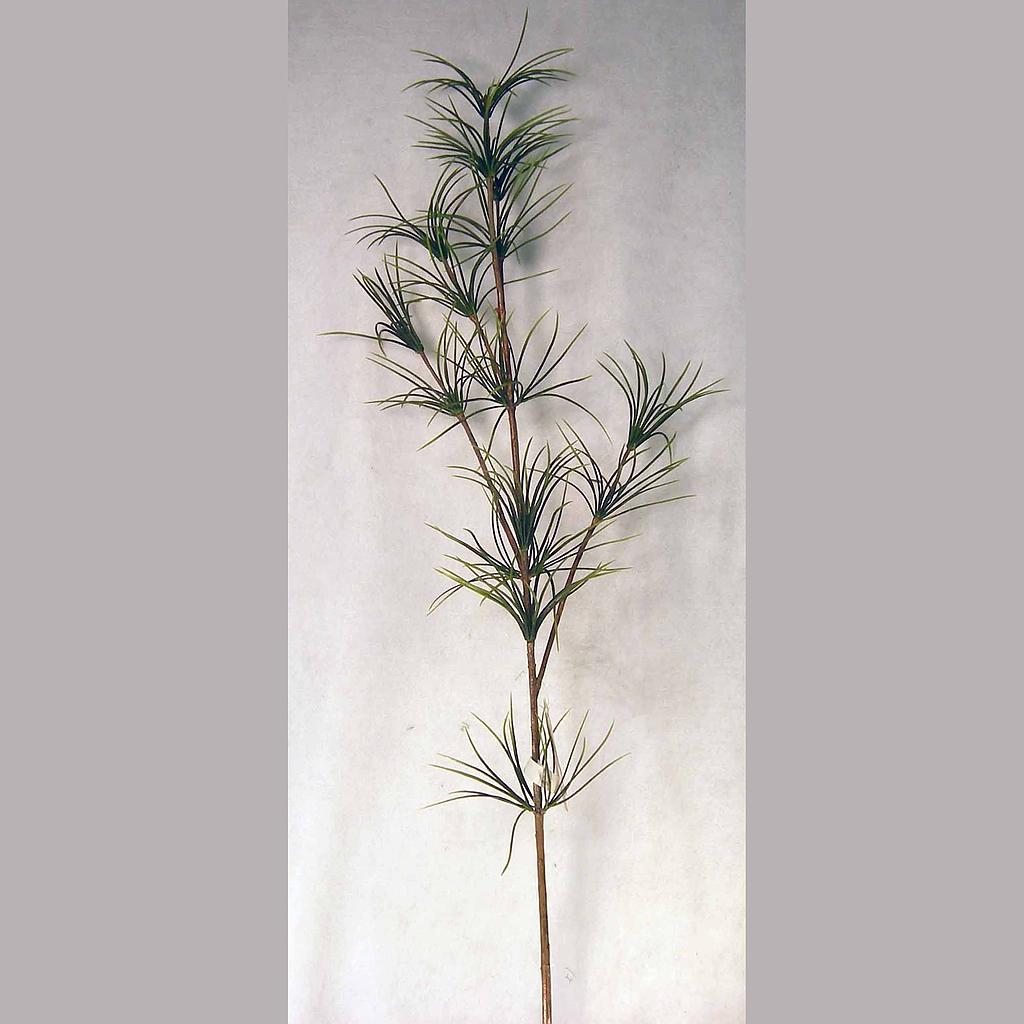 FOLIAGE PINUS STROBUS SPRAY 48&quot;