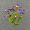 ZINNIA BUSH X10 19"  PURPLE