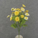 ZINNIA BUSH X10 19"  YELLOW/CREAM