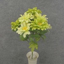 ZINNIA BUSH X10 17"  GREEN