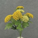 17" QUEEN ANN' S LACE BUSH X9 YELLOW