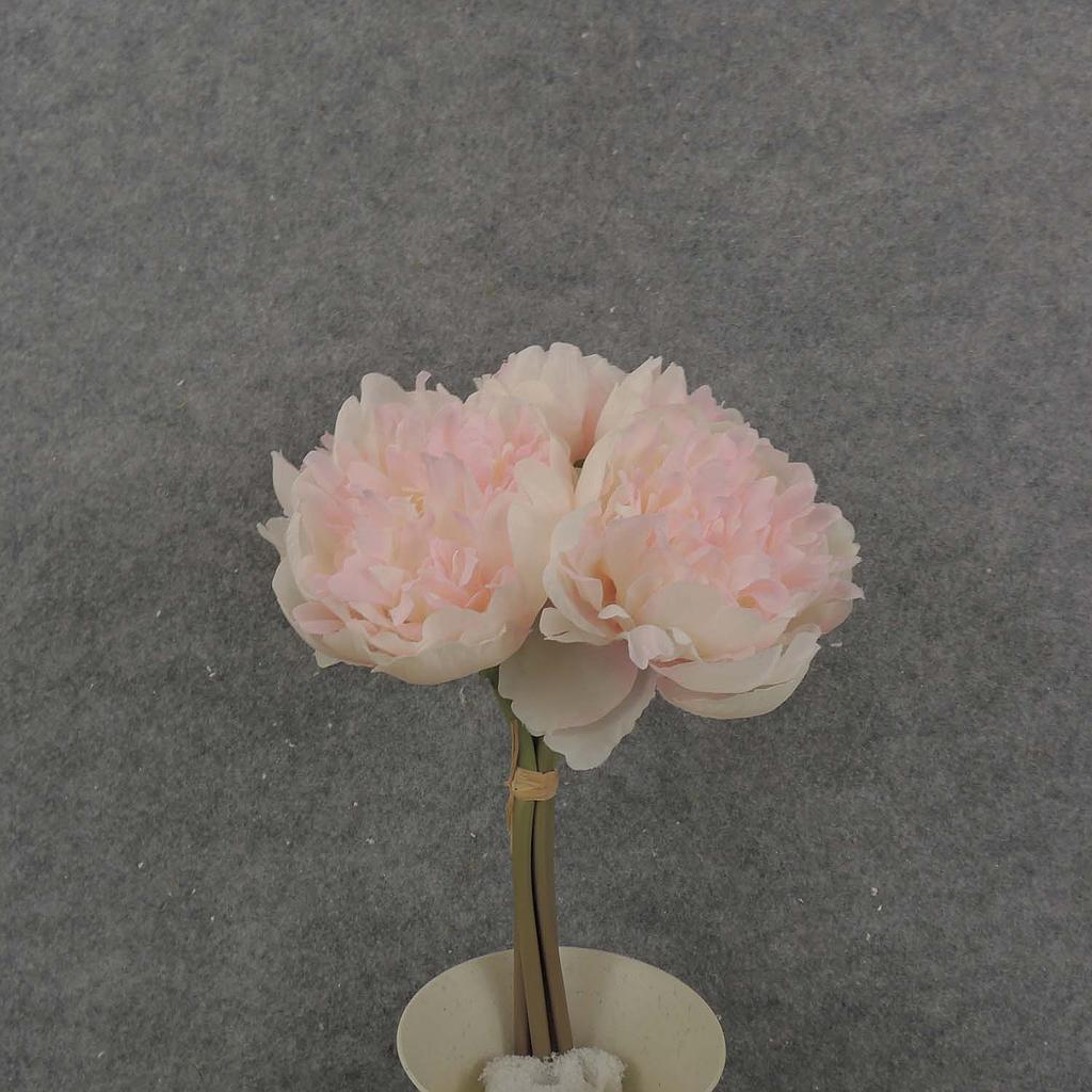 10" PEONY BUNDLE X5 3" dia CREAM/PINK
