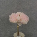 10" PEONY BUNDLE X5 3" dia CREAM/PINK
