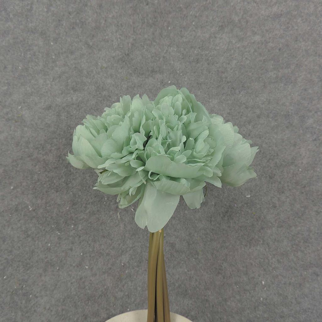 [SB8007-MNT] 10" PEONY BUNDLE X5 3" dia MINT