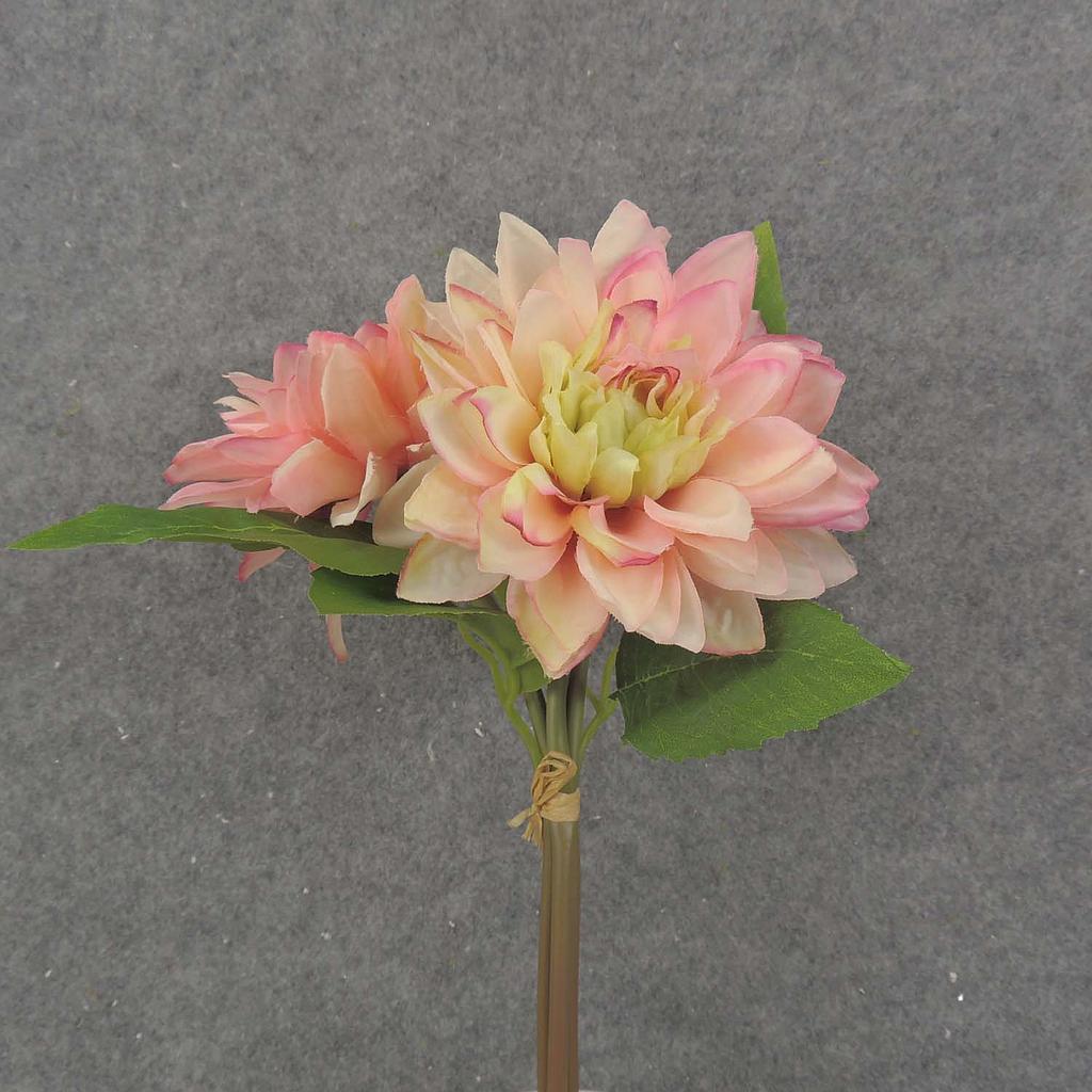 11" DAHLIA BUNDLE X3 4" dia CREAM/PINK