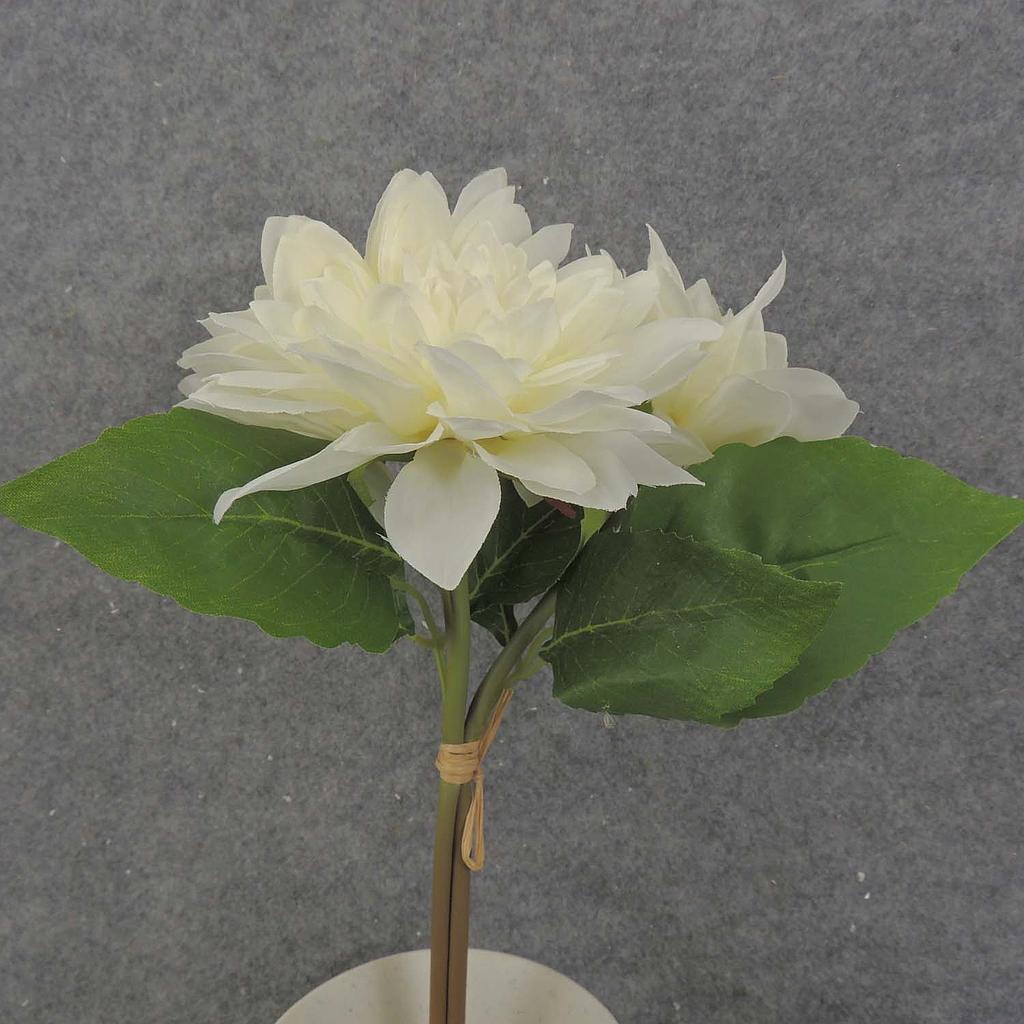 DAHLIA BUNDLE X3 11" 4"dia  CREAM/WHITE