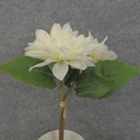 DAHLIA BUNDLE X3 11" 4"dia  CREAM/WHITE