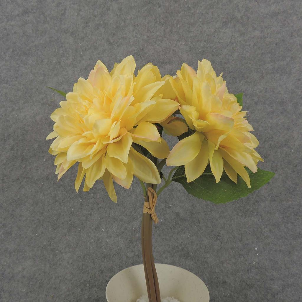 DAHLIA BUNDLE X3 11" 4"dia  YELLOW