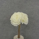 ROSE BUNDLE X5 12" 4.5"dia       CREAM/WHITE