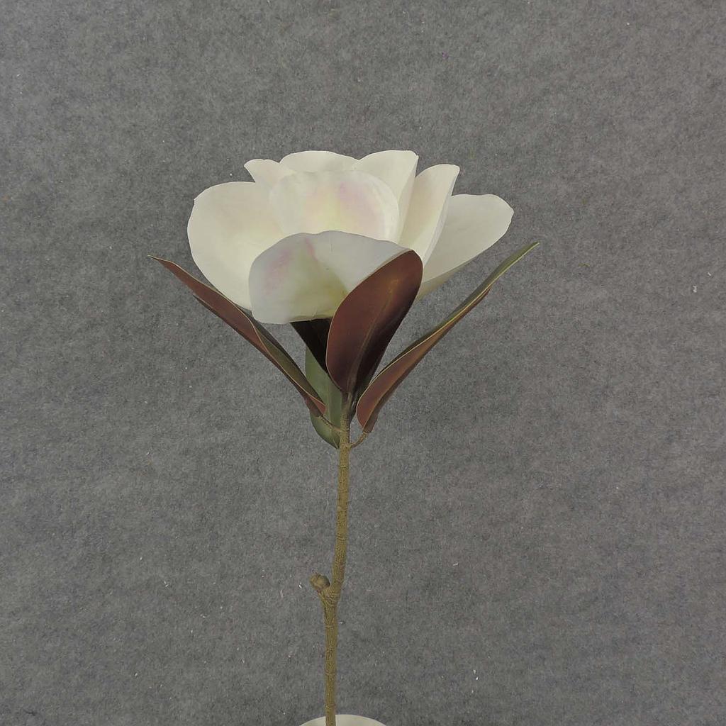 [SB8011-CWT] 26" MAGNOLIA STEM 5x5" BLM
