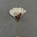 MAGNOLIA STEM 26" 5x5" BLM     