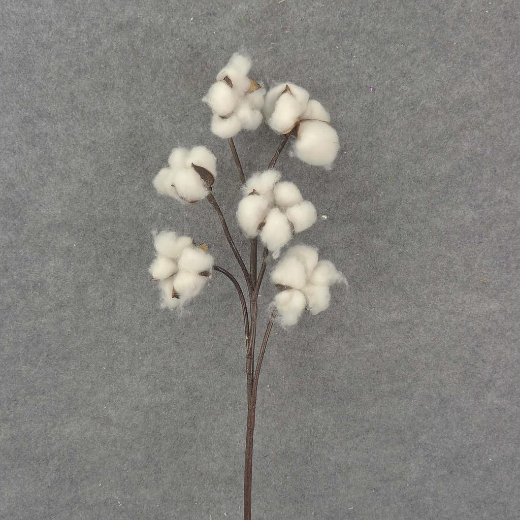 30" COTTON SPRAY