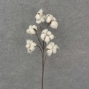 30" COTTON SPRAY