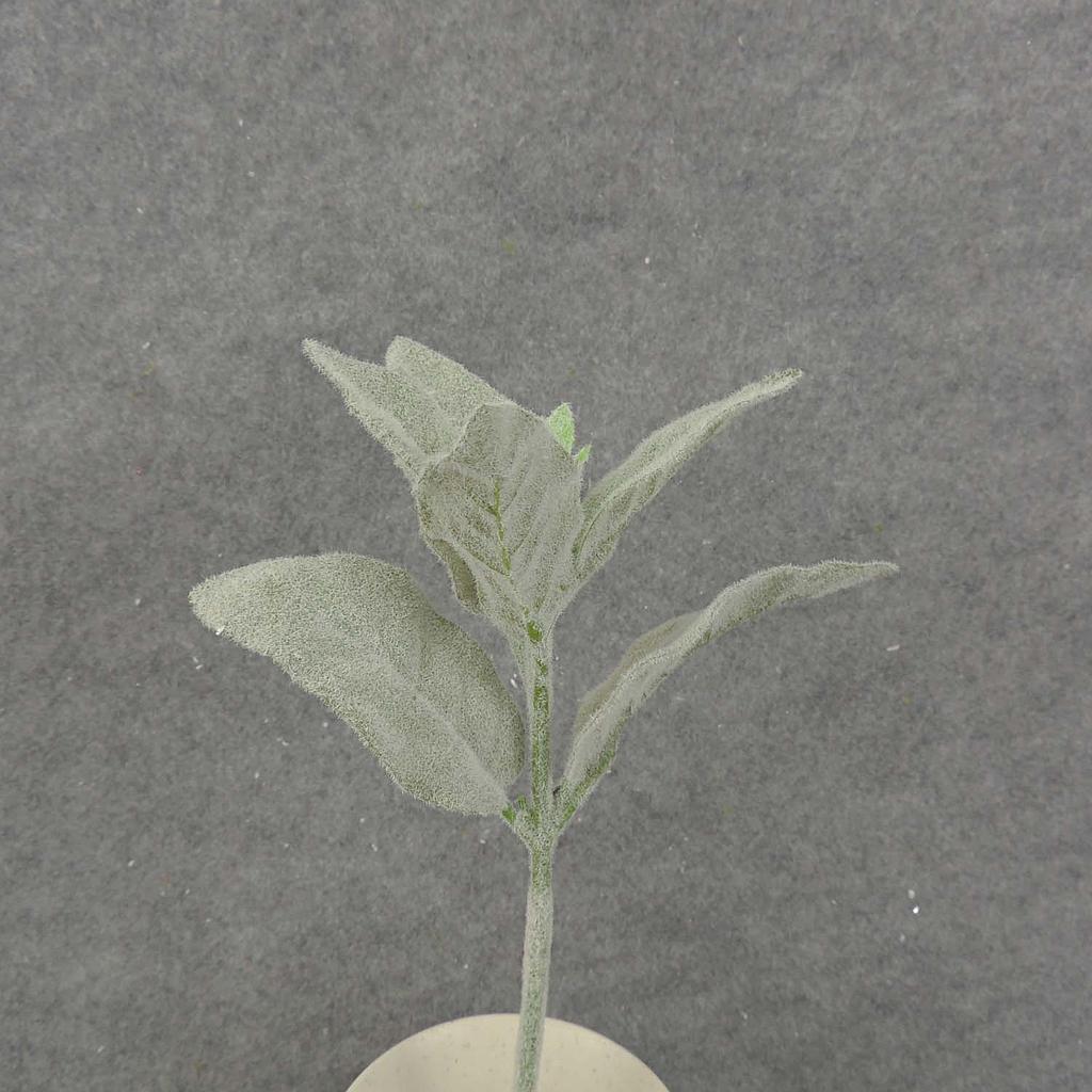 [SB8021-GRN] 11" LAMBS EAR PICK FLOCKED GREEN
