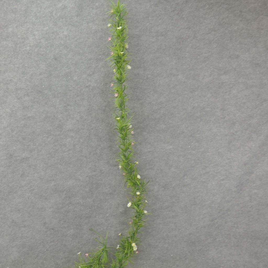 [SB8044] 6' WILD FLOWER GARLAND PLASTIC