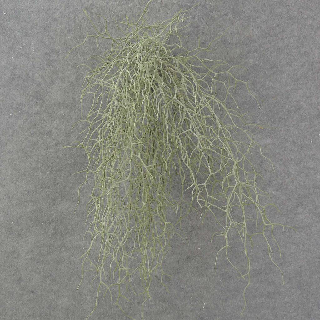 [SB8049] 23" GRASS BUSH X8 FLOCKED