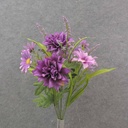 19" DAHLIA/DAISY BUSH X10 PURPLE
