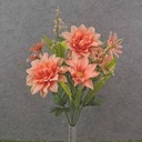 19" DAHLIA/DAISY BUSH X10 SALMON