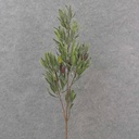 32" OLIVE BRANCH W/OLIVES