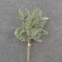 DUSTY MILLER BUNDLE (3/BUNDLE) FLOCKED
