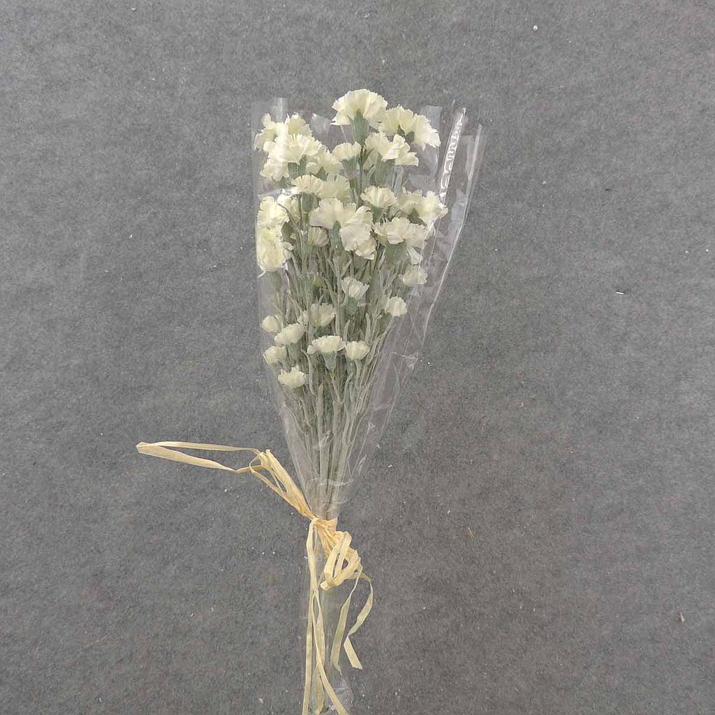 CARNATION BUNDLE 27" (3/BDL) WHITE