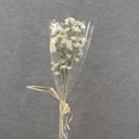 CARNATION BUNDLE 27" (3/BDL) WHITE