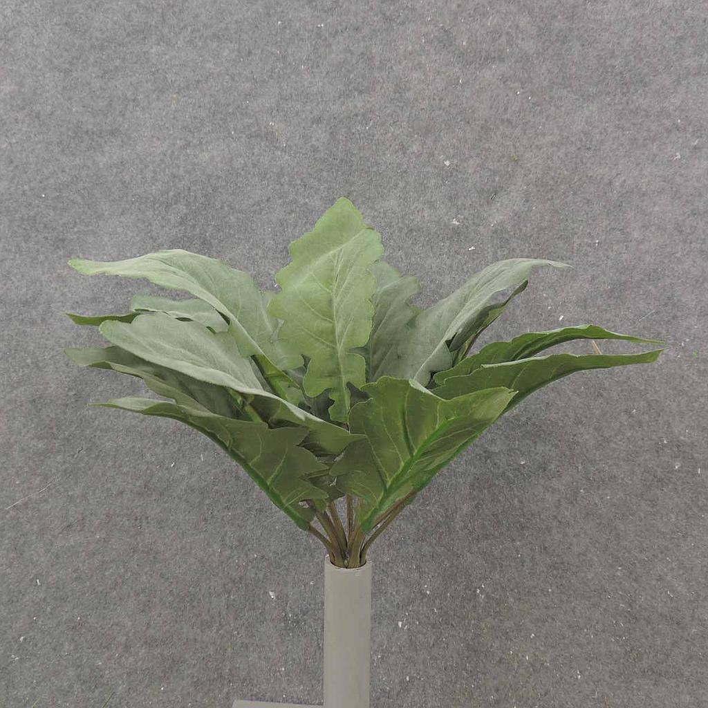 [SB9017] SALVIA LEAF BUSH X15 DUST GREEN 