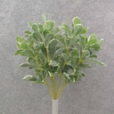 15.5" LEAF BUSH VARIGATED PITT