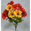 GERBERA DAISY BUSH X10