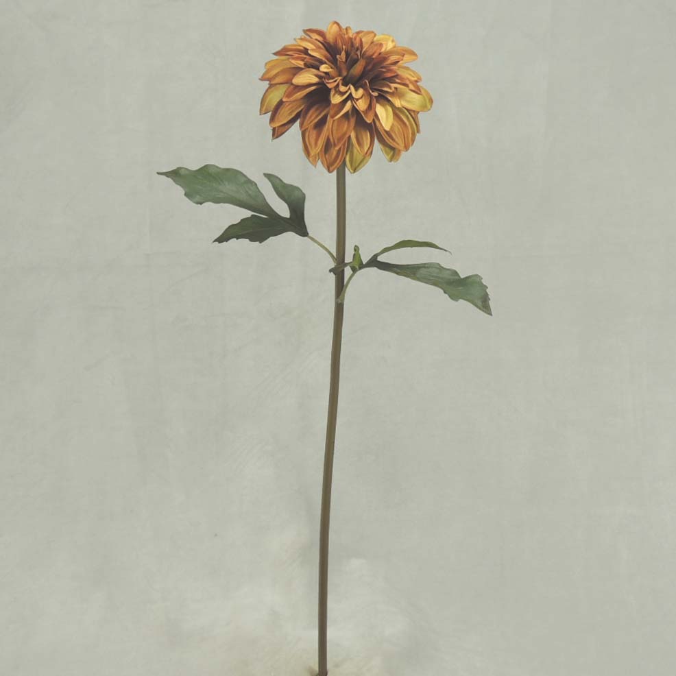 [SBF347-LTB] 25" DAHLIA SPRAY LT.BRN
