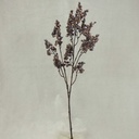 BERRY SPRAY 28.5&quot; DUSTY BROWN