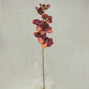 32" PHALAENOPSIS X9 BURGUNDY