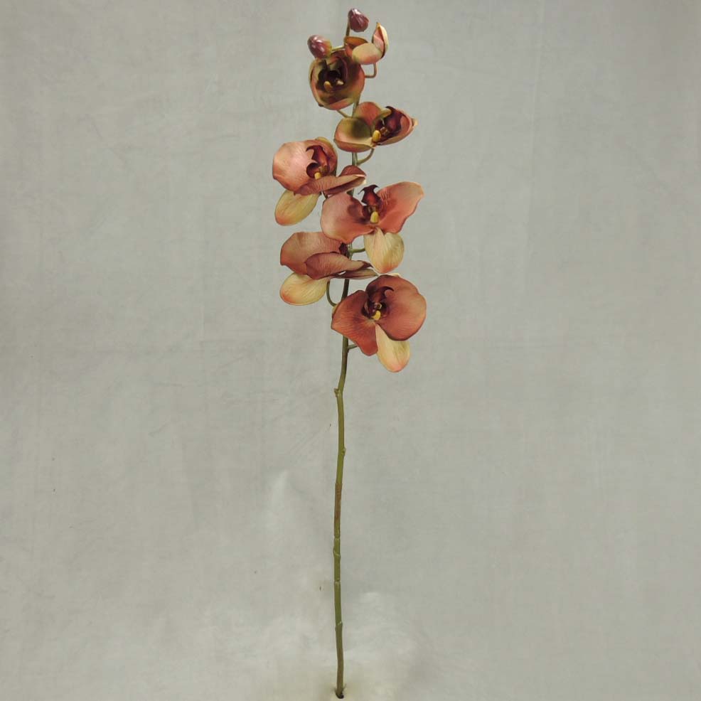 [SBF348-DKM] 32" PHALAENOPSIS X9 DK. MAUVE