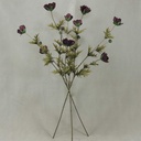 33" COSMOS SPRAY X3 (3/BUNDLE) PURPLE