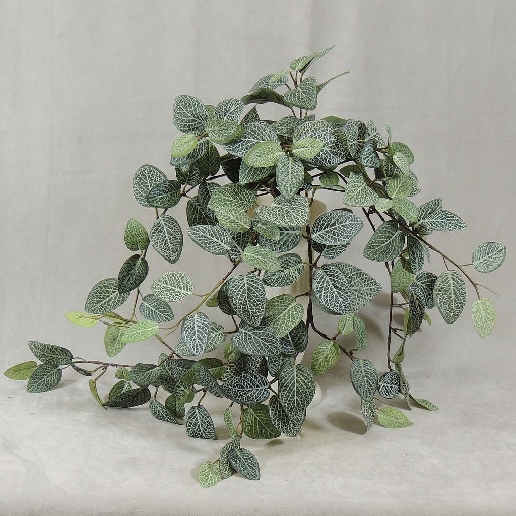 [SBF4022] 29" FITTONIA HANGING BUSH X9