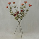 33" COSMOS SPRAY X3 (3/BUNDLE) RUST