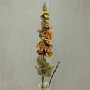 HOLLY HOCK SPRAY 42"  MUSTARD