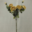 ROSE CABBAGE SPRAYx3(2/BNDL)30"  GREEN