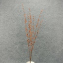 BERRY FUZZY BUSH X3 34"  RUST