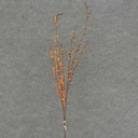 34" BITTERSWEET BERRY SPRAY X4 (6/BNDL) 2-ASST' D