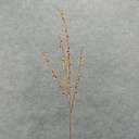 34" BITTERSWEET BERRY SPRAY X4 (6/BNDL) AUTUMN