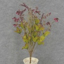DAISY/BERRY/HEATHER BUSHx12 21"