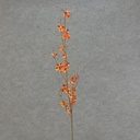 BITTERSWEET SPRAY 40"